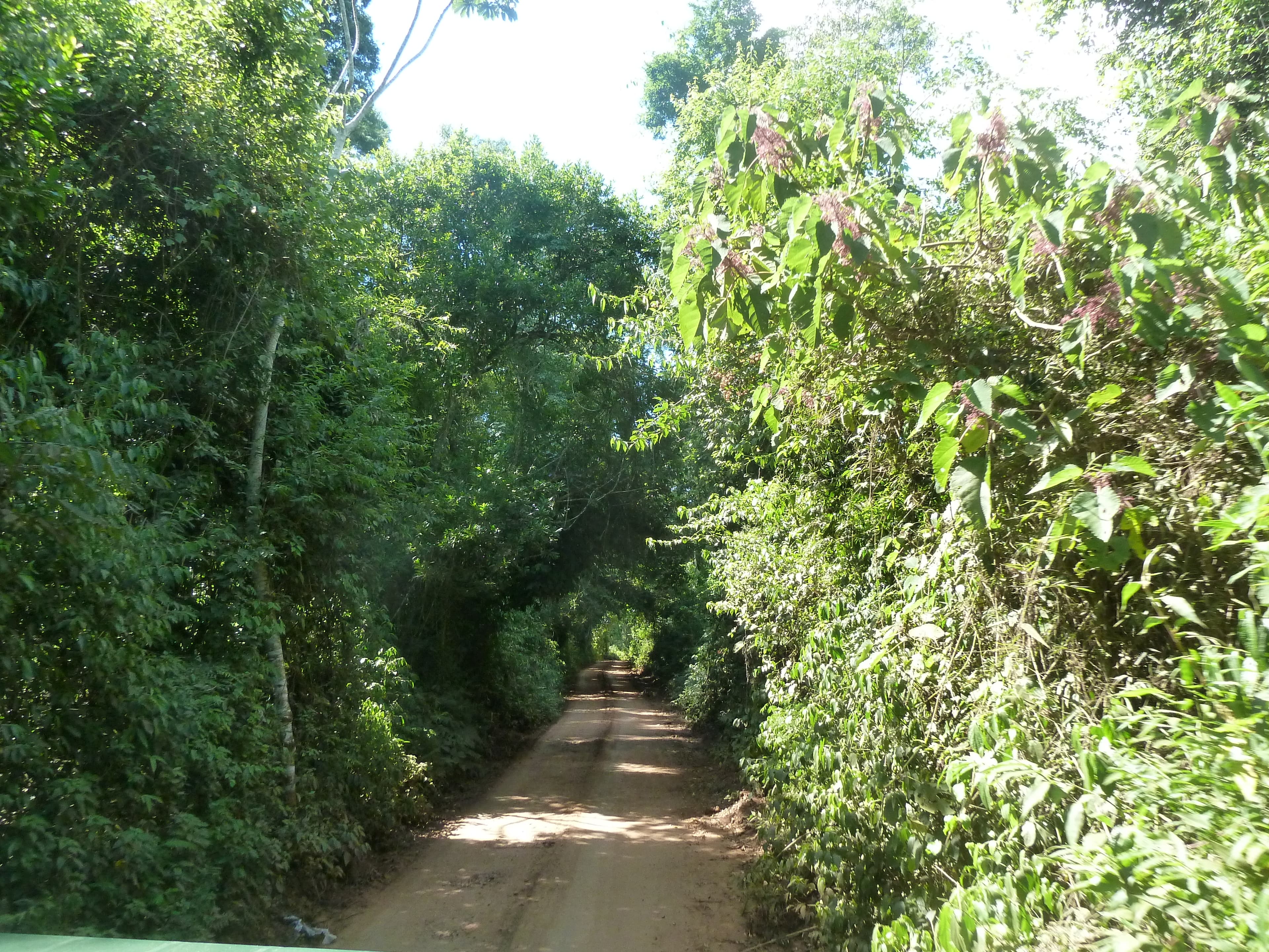 Photo from Iguazu Falls.